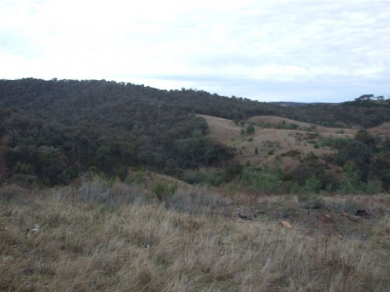 550 Vokins Creek Road, Holbrook NSW 2644