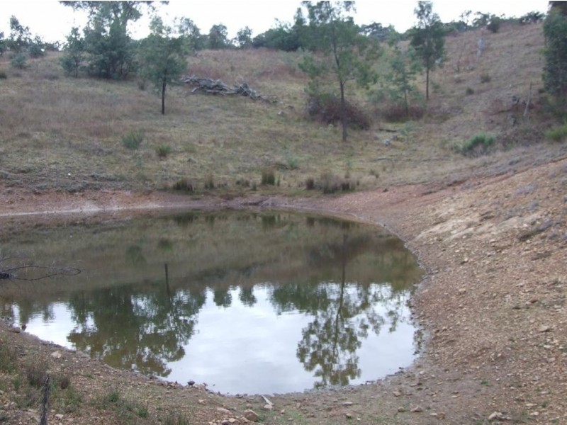 550 Vokins Creek Road, Holbrook NSW 2644