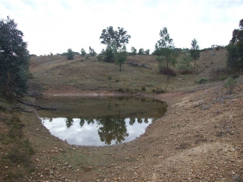 550 Vokins Creek Road, Holbrook NSW 2644