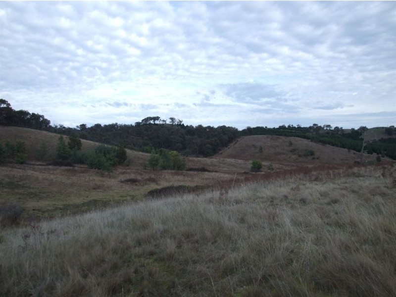 550 Vokins Creek Road, Holbrook NSW 2644