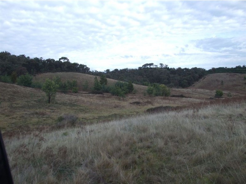 550 Vokins Creek Road, Holbrook NSW 2644