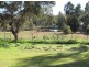 91 Edward  Street, Woomargama NSW 2644