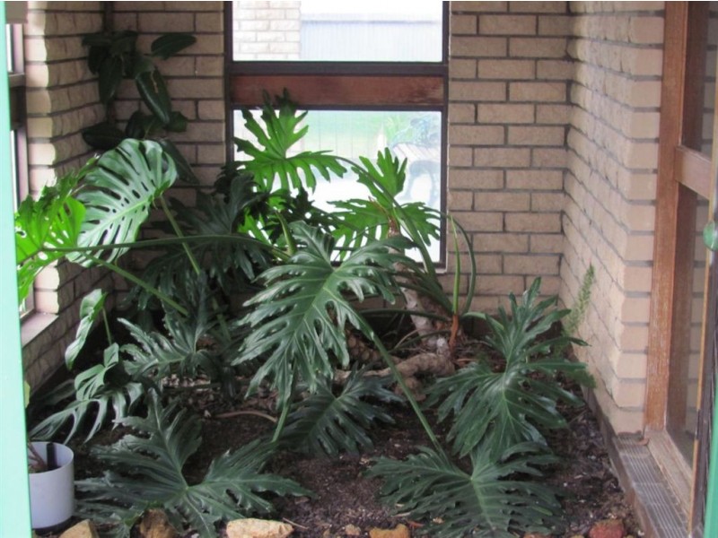 16 Byng, Holbrook NSW 2644