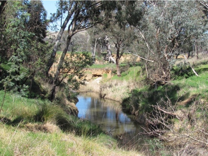 43 Mountain Creek Road, Mullengandra NSW 2644