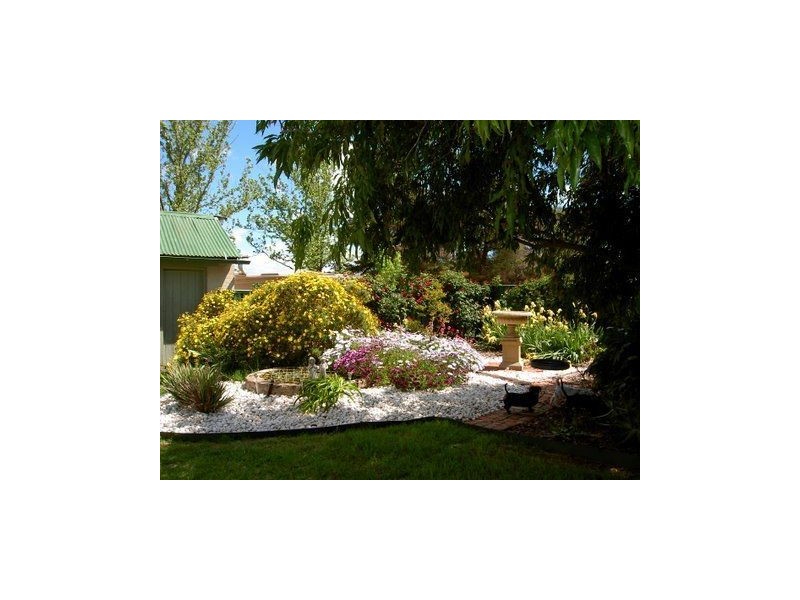 11768 Hume Highway, Holbrook NSW 2644