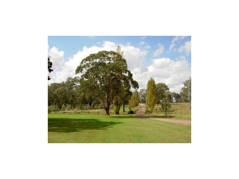 11768 Hume Highway, Holbrook NSW 2644