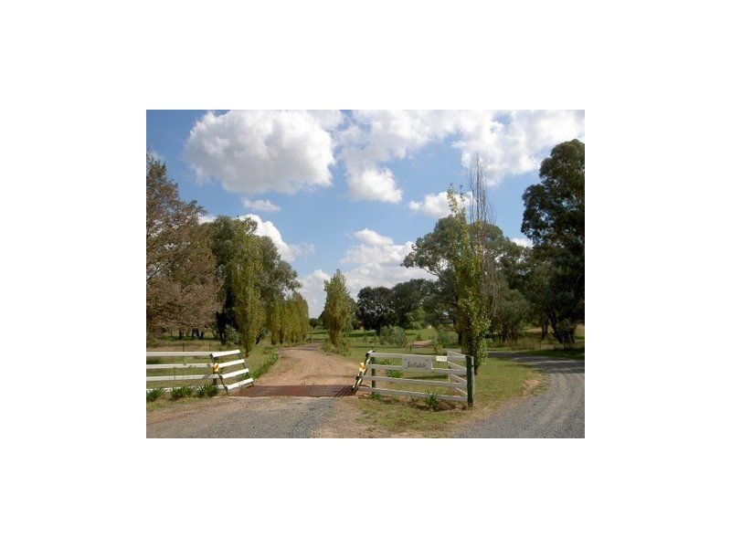 11768 Hume Highway, Holbrook NSW 2644