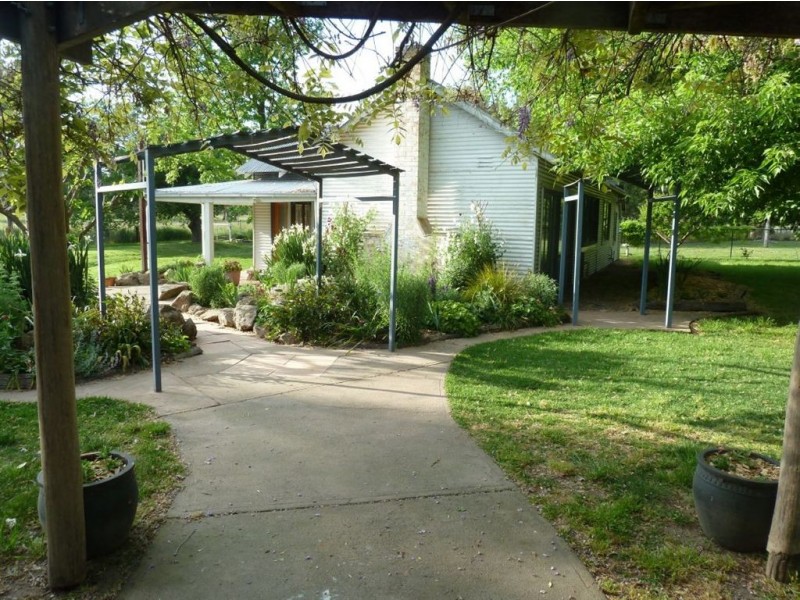 133 Jingellic Road, Holbrook NSW 2644
