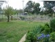 133 Jingellic Road, Holbrook NSW 2644