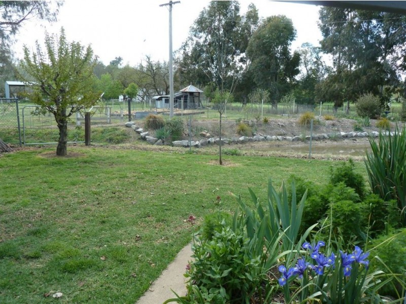 133 Jingellic Road, Holbrook NSW 2644