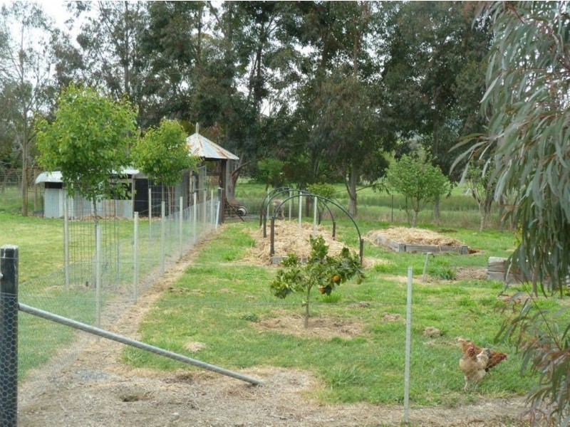 133 Jingellic Road, Holbrook NSW 2644