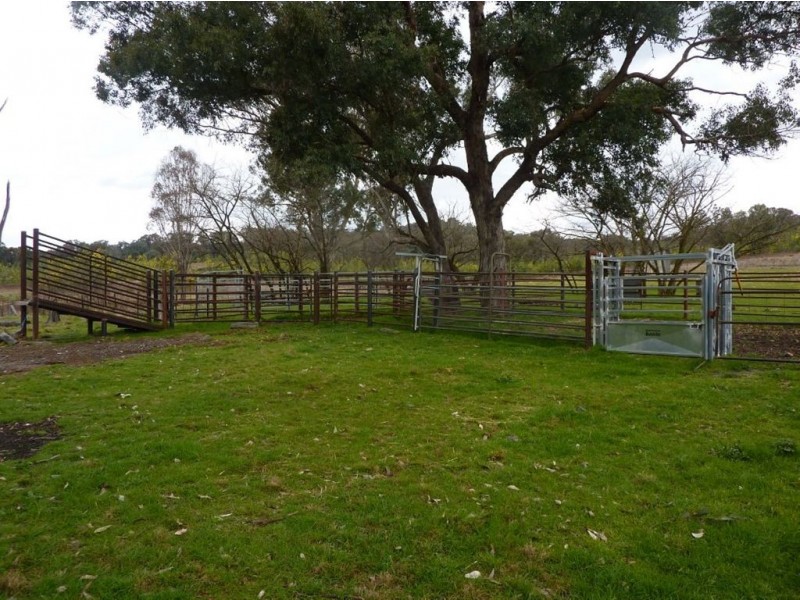 698 Little Billabong Road, Holbrook NSW 2644