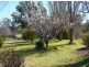 698 Little Billabong Road, Holbrook NSW 2644