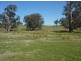 698 Little Billabong Road, Holbrook NSW 2644