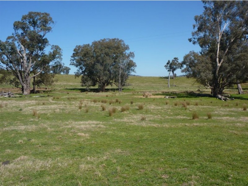 698 Little Billabong Road, Holbrook NSW 2644