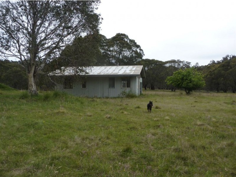 1111 Moodys Hill Road, Tumbarumba NSW 2653