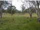 1111 Moodys Hill Road, Tumbarumba NSW 2653