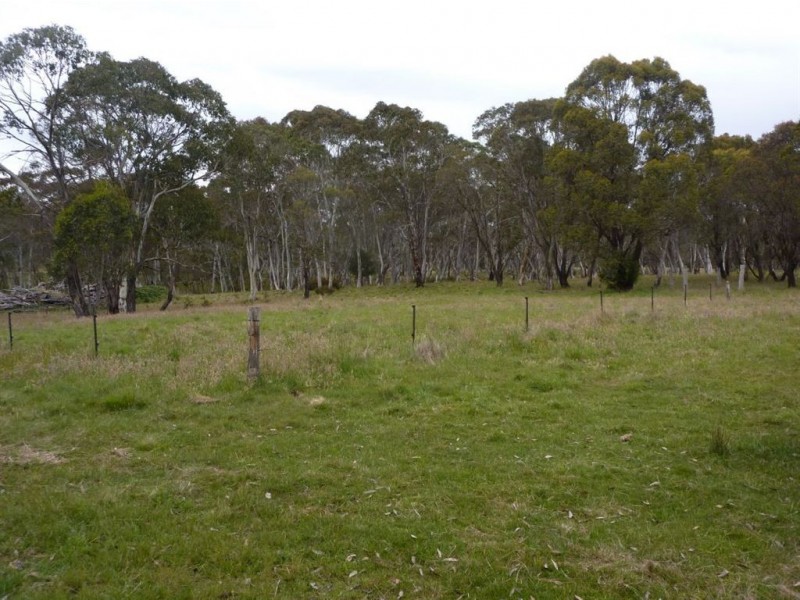 1111 Moodys Hill Road, Tumbarumba NSW 2653