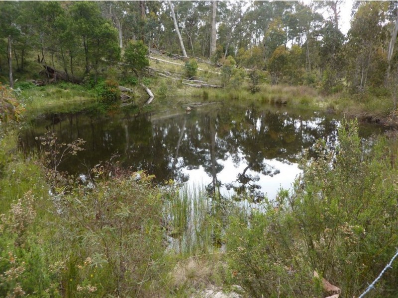 1111 Moodys Hill Road, Tumbarumba NSW 2653