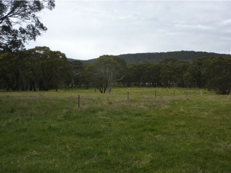 1111 Moodys Hill Road, Tumbarumba NSW 2653