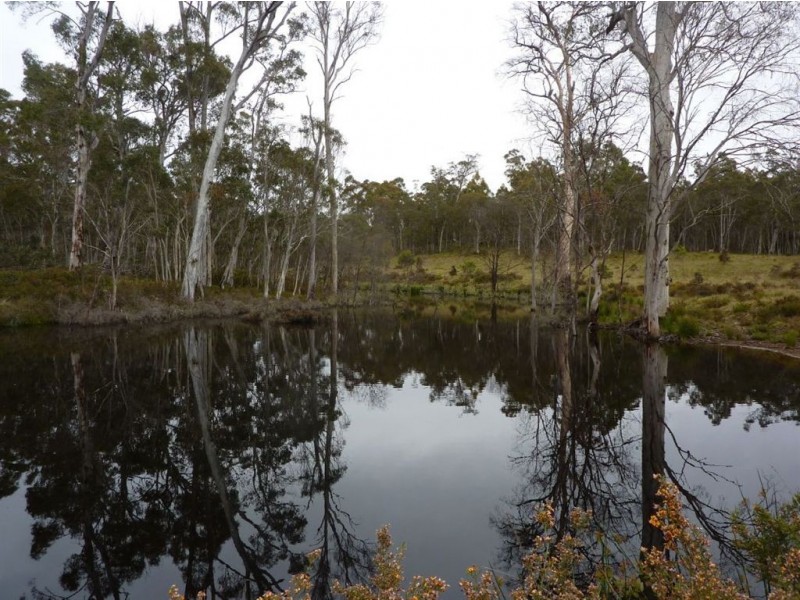 1111 Moodys Hill Road, Tumbarumba NSW 2653