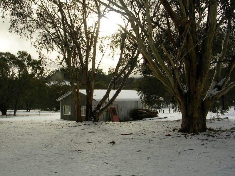 1111 Moodys Hill Road, Tumbarumba NSW 2653