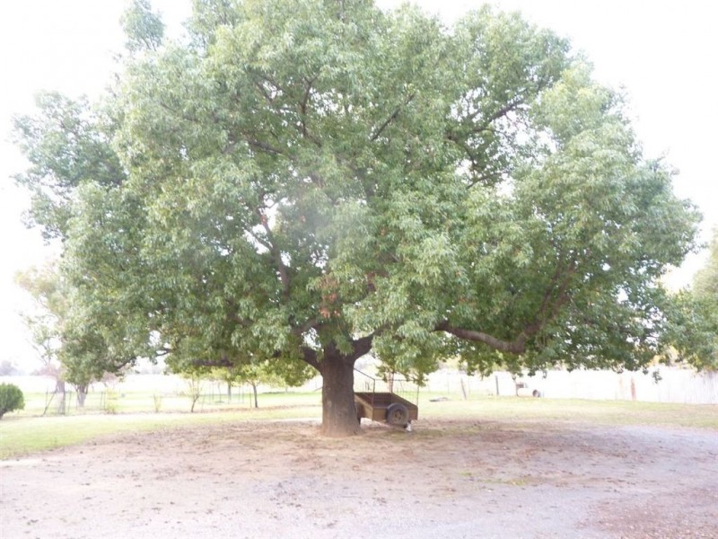 30 Hamilton Street, Culcairn NSW 2660