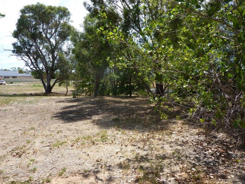 Lot 3 Crn Bruce Street & Wallace Street, Holbrook NSW 2644