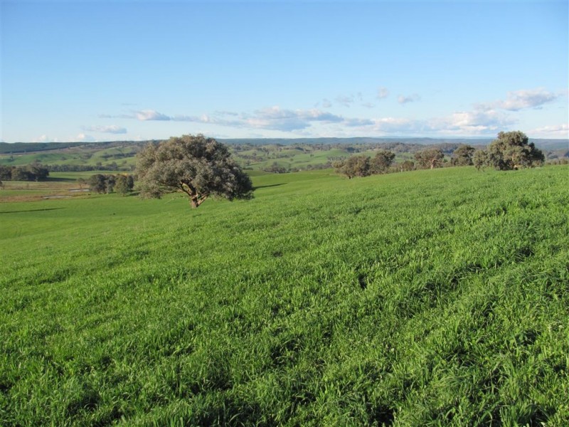 1 Coppabella Road, Lankeys Creek, Holbrook NSW 2644