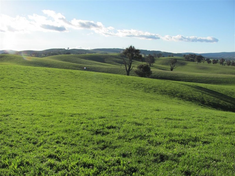 1 Coppabella Road, Lankeys Creek, Holbrook NSW 2644