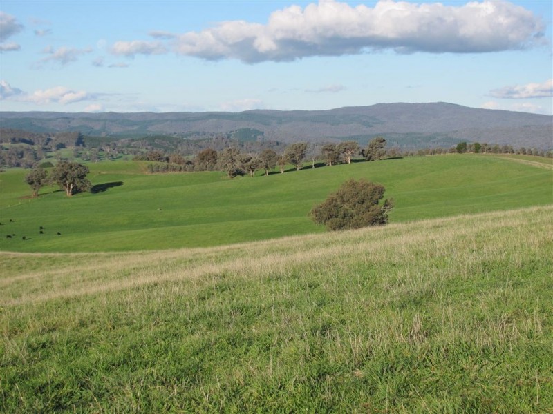 1 Coppabella Road, Lankeys Creek, Holbrook NSW 2644