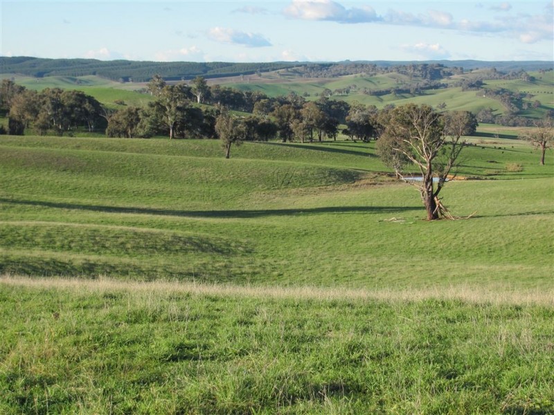 1 Coppabella Road, Lankeys Creek, Holbrook NSW 2644