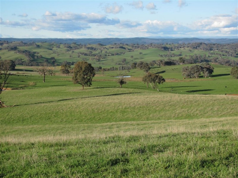 1 Coppabella Road, Lankeys Creek, Holbrook NSW 2644