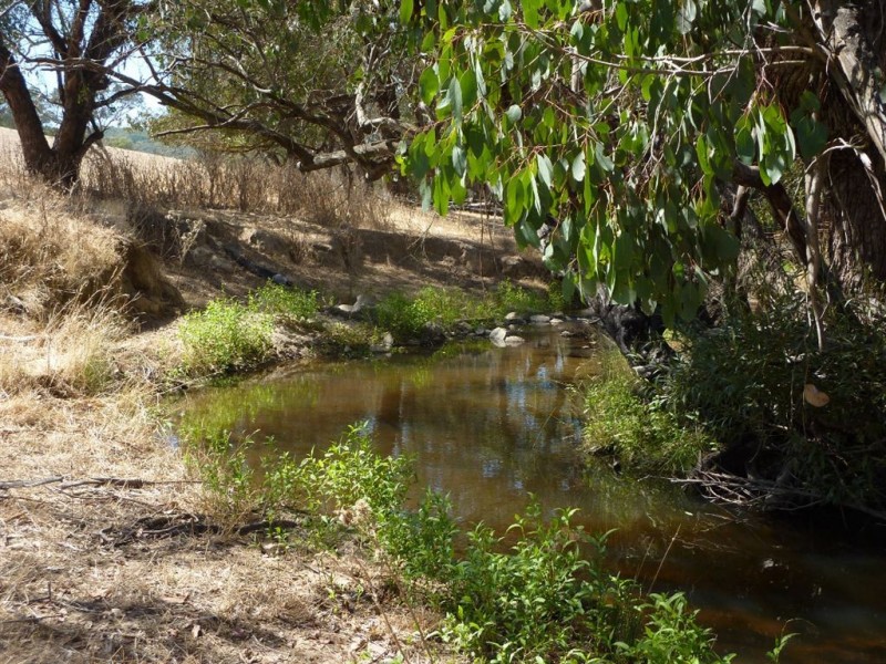 1 Coppabella Road, Lankeys Creek, Holbrook NSW 2644