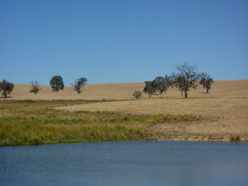 1 Coppabella Road, Lankeys Creek, Holbrook NSW 2644