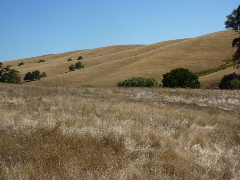 1 Coppabella Road, Lankeys Creek, Holbrook NSW 2644