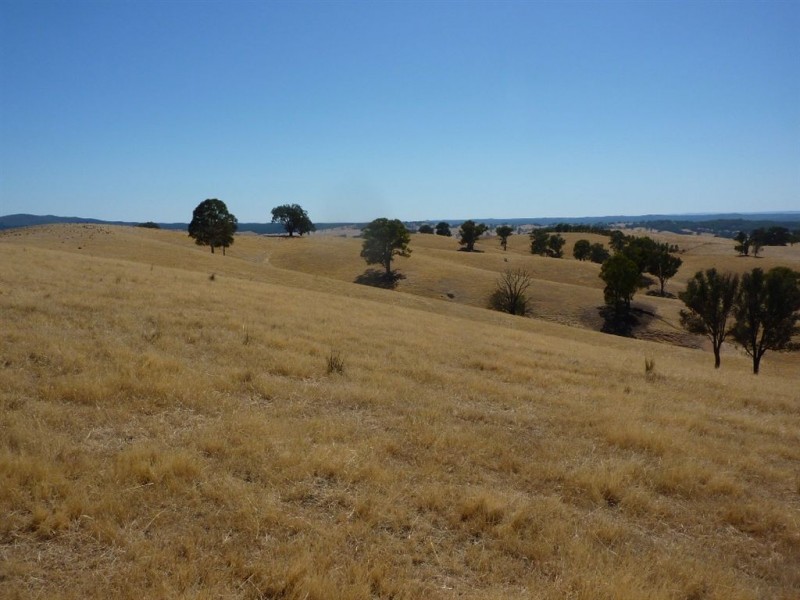 1 Coppabella Road, Lankeys Creek, Holbrook NSW 2644