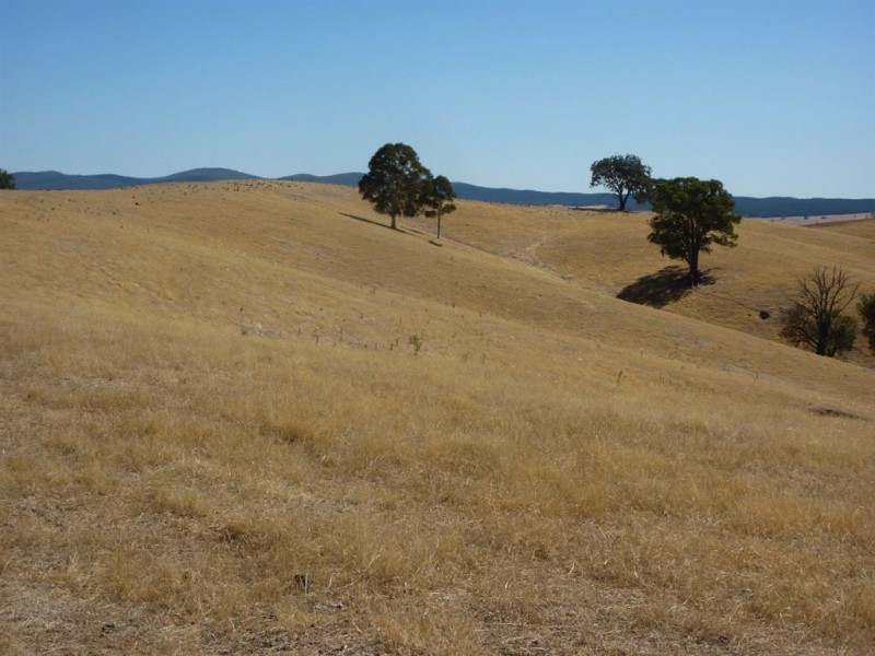 1 Coppabella Road, Lankeys Creek, Holbrook NSW 2644