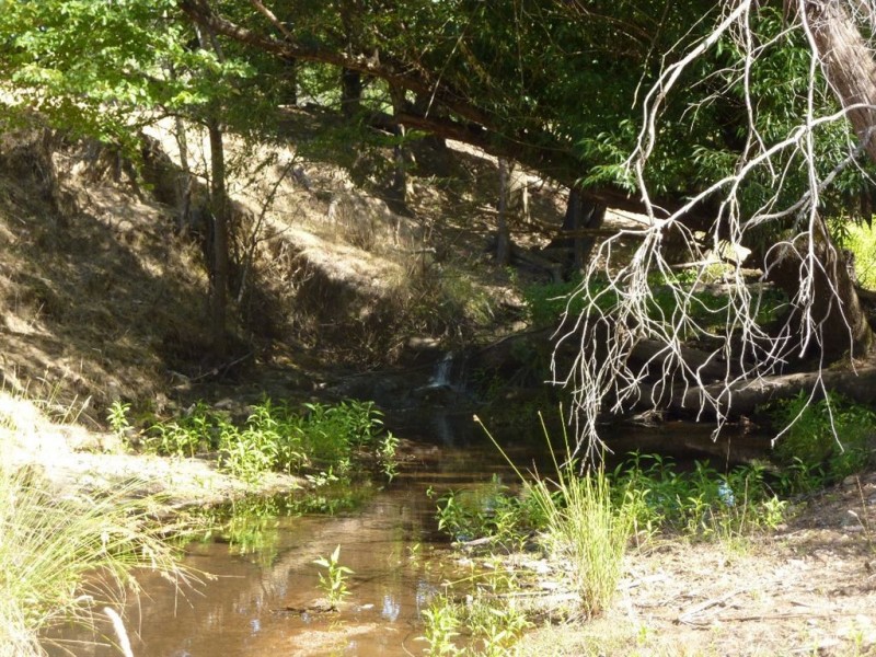 1 Coppabella Road, Lankeys Creek, Holbrook NSW 2644