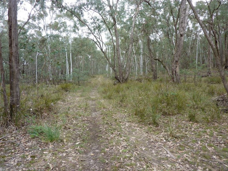 Lots 2, 55, 56 & 74 Jingellic Road, Holbrook NSW 2644