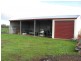 501 Culcairn Road, Holbrook NSW 2644