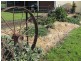 501 Culcairn Road, Holbrook NSW 2644