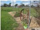 501 Culcairn Road, Holbrook NSW 2644