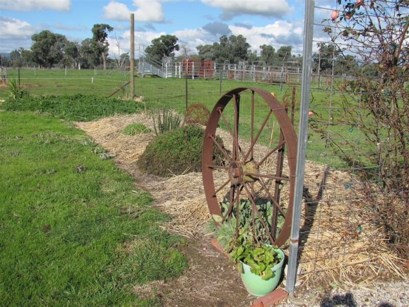 501 Culcairn Road, Holbrook NSW 2644