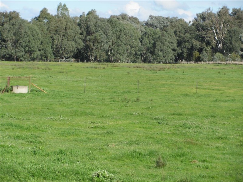 501 Culcairn Road, Holbrook NSW 2644