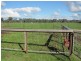 501 Culcairn Road, Holbrook NSW 2644