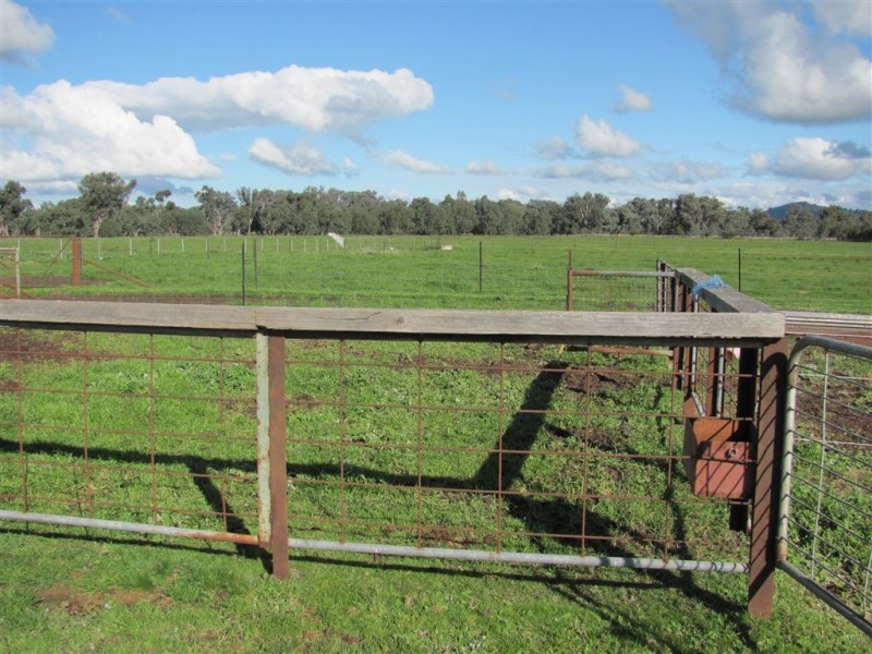 501 Culcairn Road, Holbrook NSW 2644