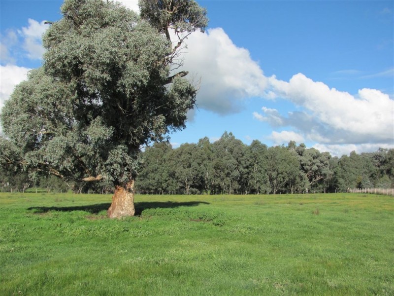 501 Culcairn Road, Holbrook NSW 2644