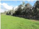 501 Culcairn Road, Holbrook NSW 2644