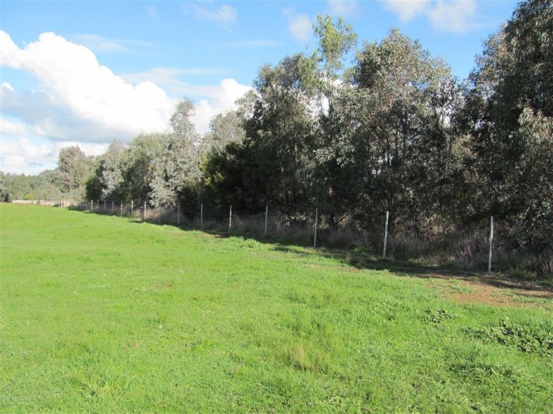 501 Culcairn Road, Holbrook NSW 2644
